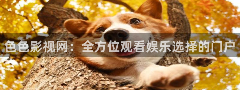 日韩电影天堂网站